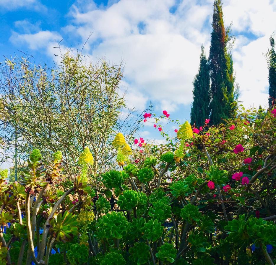 Bohemian Villa - Malaga Алора Екстер'єр фото
